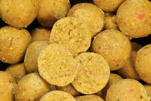 Fermented Milk&Vanilla