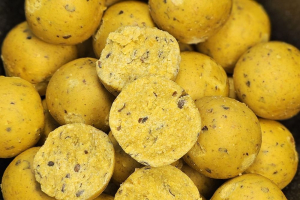 Fermented Scopex Boilies, 2,5 kg Tüte